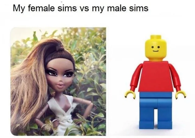 meme about male sims vs female sims